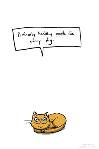 Illustration for article titled Hard Truths from Soft Cats